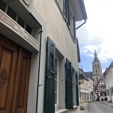Altstadtmeise Elegance *