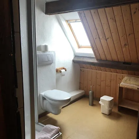 Altstadtmeise Elegance